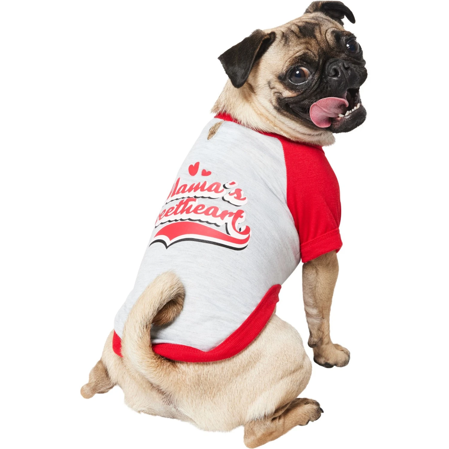 Frisco Mama's Sweetheart Dog & Cat T-Shirt 3 Frisco Mama's Sweetheart Dog & Cat T-Shirt - Image 3