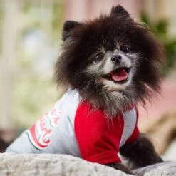 Frisco Mama's Sweetheart Dog & Cat T-Shirt 16 Frisco Mama's Sweetheart Dog & Cat T-Shirt -Frisco 371063 PT7. AC SS1800 V1701796982