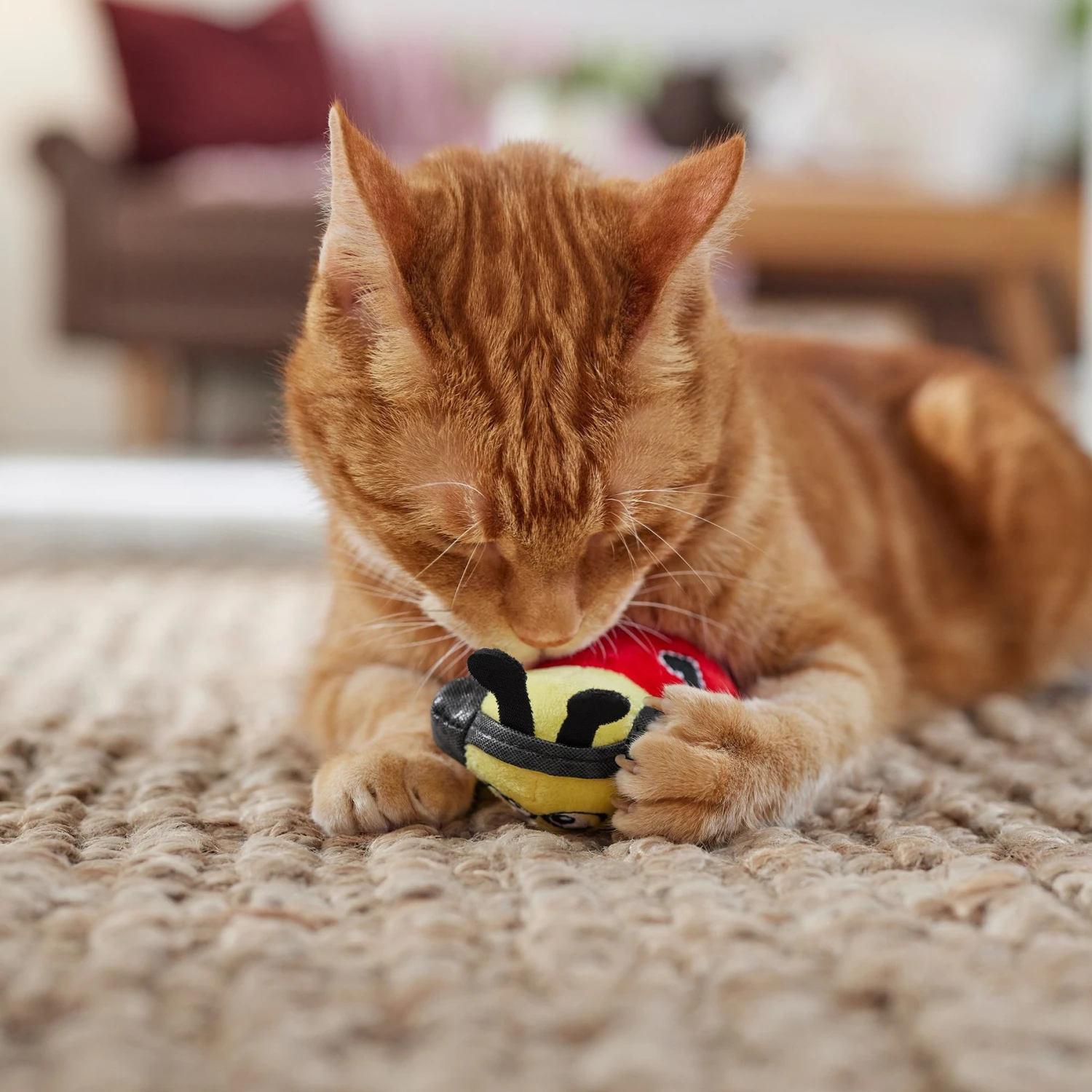 Frisco Valentine Jammin' Ladybug Plush Cat Toy With Catnip 4 Frisco Valentine Jammin' Ladybug Plush Cat Toy With Catnip - Image 4