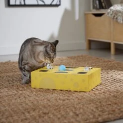 Frisco Cheese Interactive Maze Cardboard Cat Toy Box With Catnip 10 Frisco Cheese Interactive Maze Cardboard Cat Toy Box With Catnip -Frisco 506106 PT4. AC SS1800 V1669148185