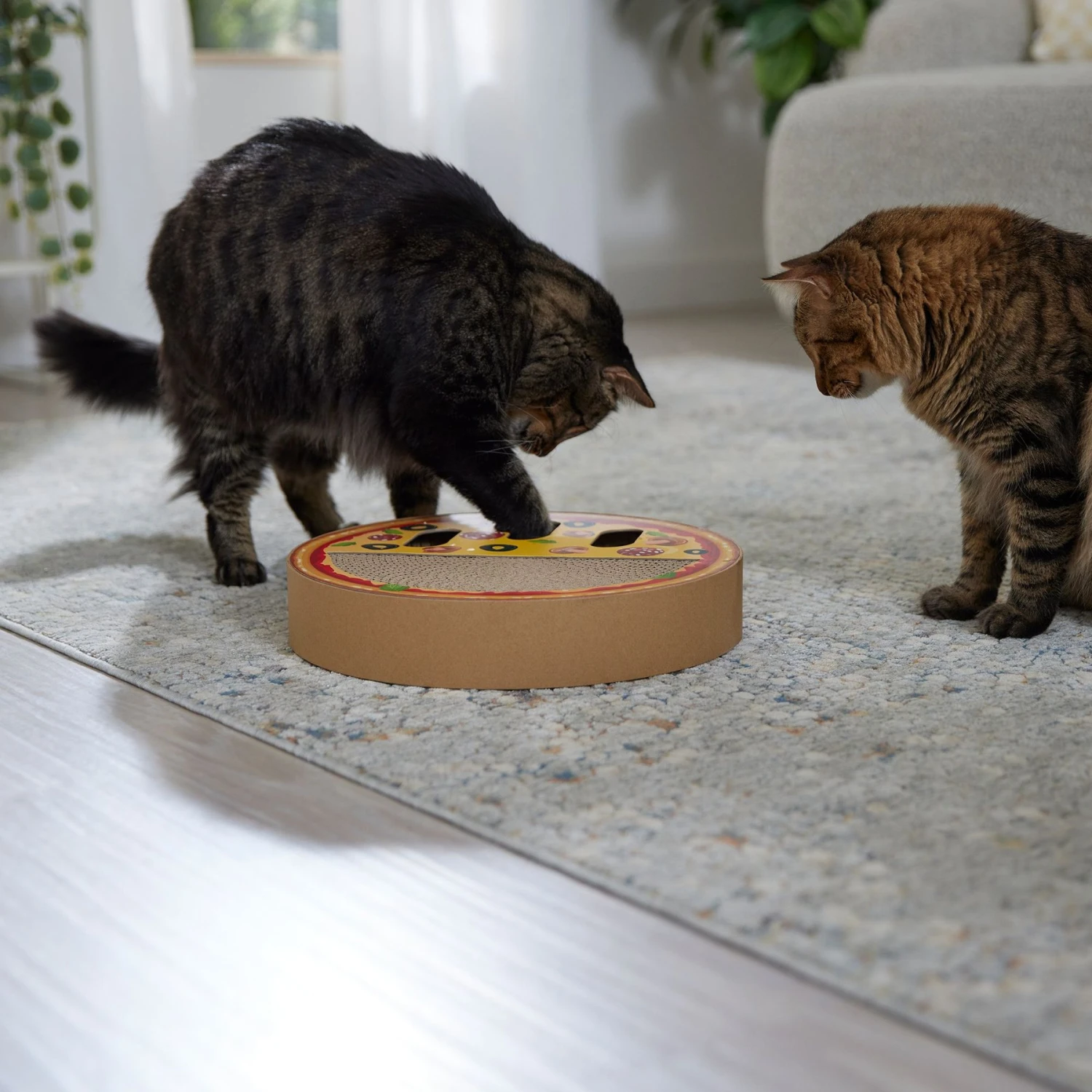 Frisco Interactive Maze & Scratch Cardboard Cat Toy With Catnip, Pizza 5 Frisco Interactive Maze & Scratch Cardboard Cat Toy With Catnip, Pizza - Image 5