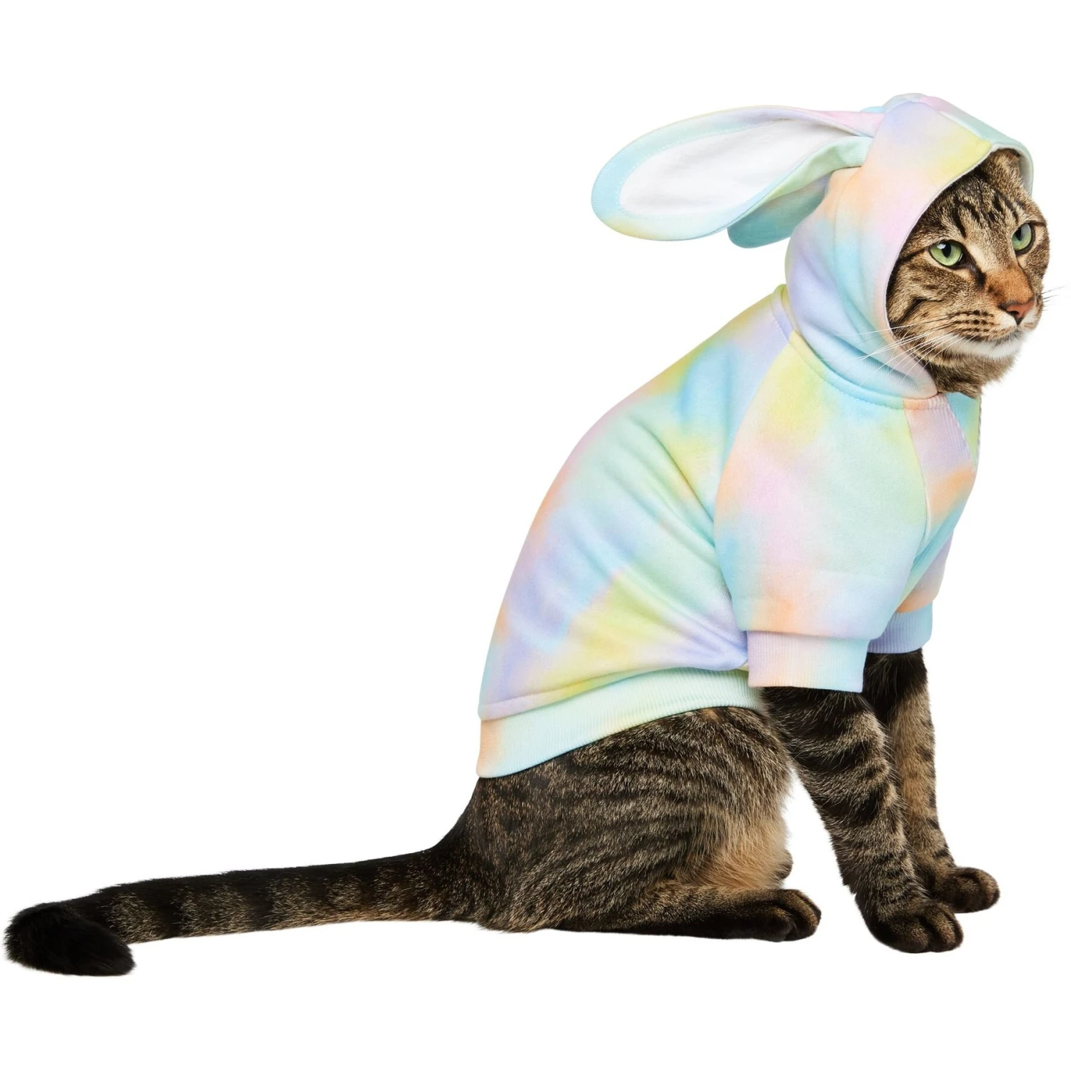 Frisco Wash Effect Bunny Ear Hoodie 1 Frisco Wash Effect Bunny Ear Hoodie
