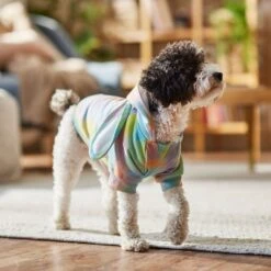 Frisco Wash Effect Bunny Ear Hoodie 16 Frisco Wash Effect Bunny Ear Hoodie -Frisco 521374 PT7. AC SS1800 V1699653757