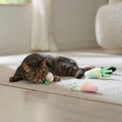 Frisco Easter Carrot Plush Cat Toy With Catnip 6 Frisco Easter Carrot Plush Cat Toy With Catnip -Frisco 550470 PT4. AC SS1800 V1702500564