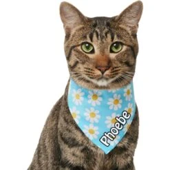Frisco Personalized Blue Daisy Bandana 15 Frisco Personalized Blue Daisy Bandana -Frisco 555206 PT6. AC SS1800 V1669839922