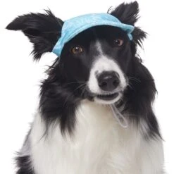 Frisco Blue Ocean Waves 30 + UPF Dog & Cat Beach Cap -Frisco 556182 PT3. AC SS1800 V1677530963