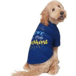 Frisco I Live In The Sunshine Dog & Cat T-Shirt -Frisco 556222 PT3. AC SS1800 V1674829145