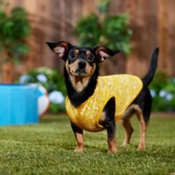 Frisco 30+ UPF Dog & Cat Beach Rash Guard 14 Frisco 30+ UPF Dog & Cat Beach Rash Guard -Frisco 556286 PT6. AC SS1800 V1675714036
