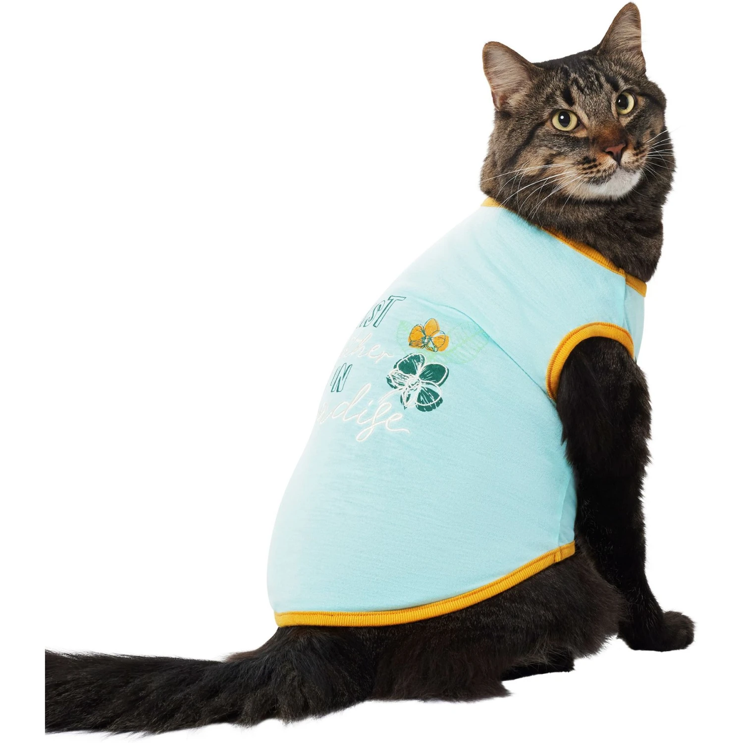 Frisco Just Another Day In Paradise Dog & Cat T-Shirt 3 Frisco Just Another Day In Paradise Dog & Cat T-Shirt - Image 3