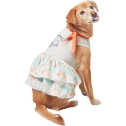 Frisco Tropical State Of Mind Dog & Cat Dress 10 Frisco Tropical State Of Mind Dog & Cat Dress -Frisco 556742 PT3. AC SS1800 V1675103177