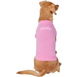 Frisco Personalized Basic Dog & Cat T-Shirt 9 Frisco Personalized Basic Dog & Cat T-Shirt -Frisco 557438 PT2. AC SS1800 V1662738086