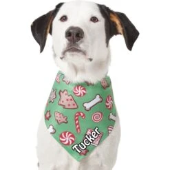 Frisco Gingerbread Treats Personalized Dog & Cat Bandana 15 Frisco Gingerbread Treats Personalized Dog & Cat Bandana -Frisco 564502 PT6. AC SS1800 V1660405305