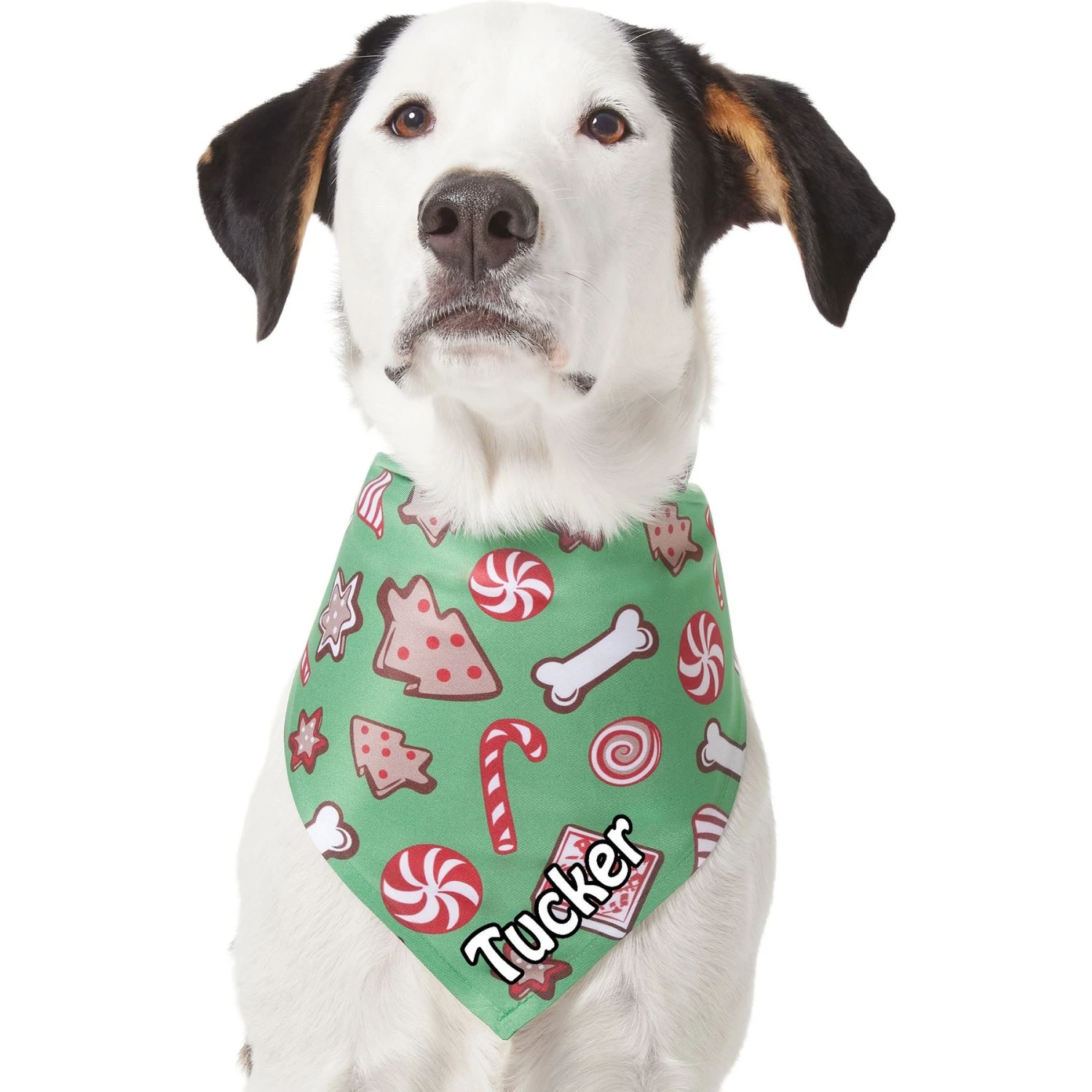 Frisco Gingerbread Treats Personalized Dog & Cat Bandana 7 Frisco Gingerbread Treats Personalized Dog & Cat Bandana - Image 7