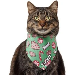 Frisco Gingerbread Treats Personalized Dog & Cat Bandana 16 Frisco Gingerbread Treats Personalized Dog & Cat Bandana -Frisco 564502 PT7. AC SS1800 V1660251028