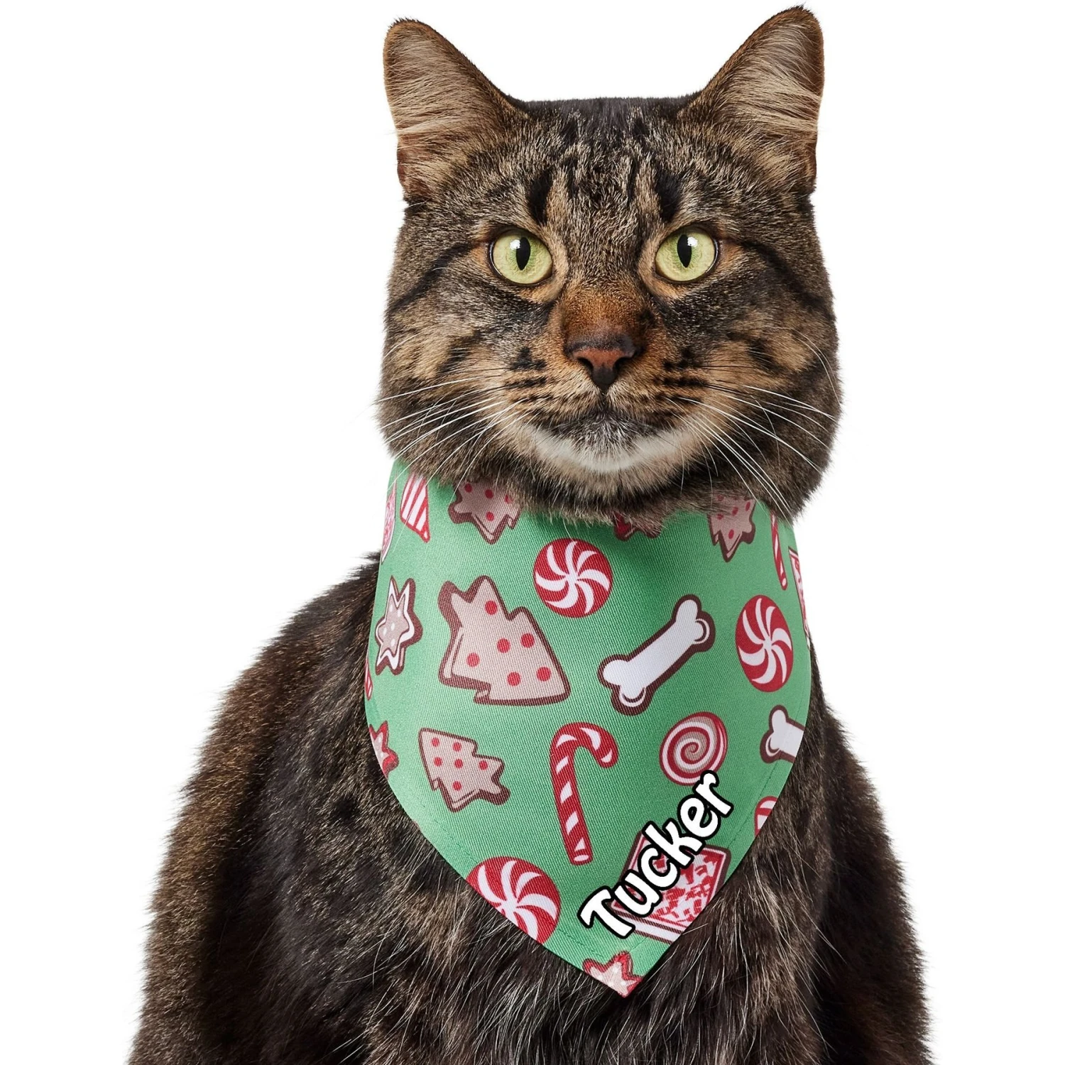 Frisco Gingerbread Treats Personalized Dog & Cat Bandana 8 Frisco Gingerbread Treats Personalized Dog & Cat Bandana - Image 8