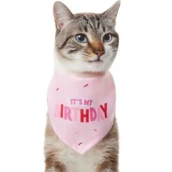 Frisco Dog & Cat Birthday Bandana 10 Frisco Dog & Cat Birthday Bandana -Frisco 608206 PT2. AC SS1800 V1676644511