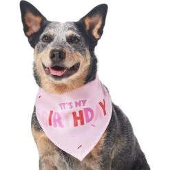 Frisco Dog & Cat Birthday Bandana 11 Frisco Dog & Cat Birthday Bandana -Frisco 608206 PT3. AC SS1800 V1676642208
