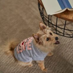 Frisco I Love Daddy Heart Dog & Cat T-Shirt 12 Frisco I Love Daddy Heart Dog & Cat T-Shirt -Frisco 608262 PT7. AC SS1800 V1676585954