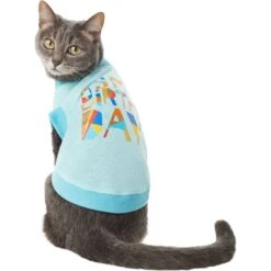 Frisco Birthday Celebration Dog & Cat T-Shirt 9 Frisco Birthday Celebration Dog & Cat T-Shirt -Frisco 608318 PT2. AC SS1800 V1676643772