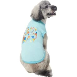Frisco Birthday Celebration Dog & Cat T-Shirt 10 Frisco Birthday Celebration Dog & Cat T-Shirt -Frisco 608318 PT3. AC SS1800 V1676643253