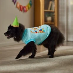 Frisco Birthday Celebration Dog & Cat T-Shirt 12 Frisco Birthday Celebration Dog & Cat T-Shirt -Frisco 608318 PT7. AC SS1800 V1676643247