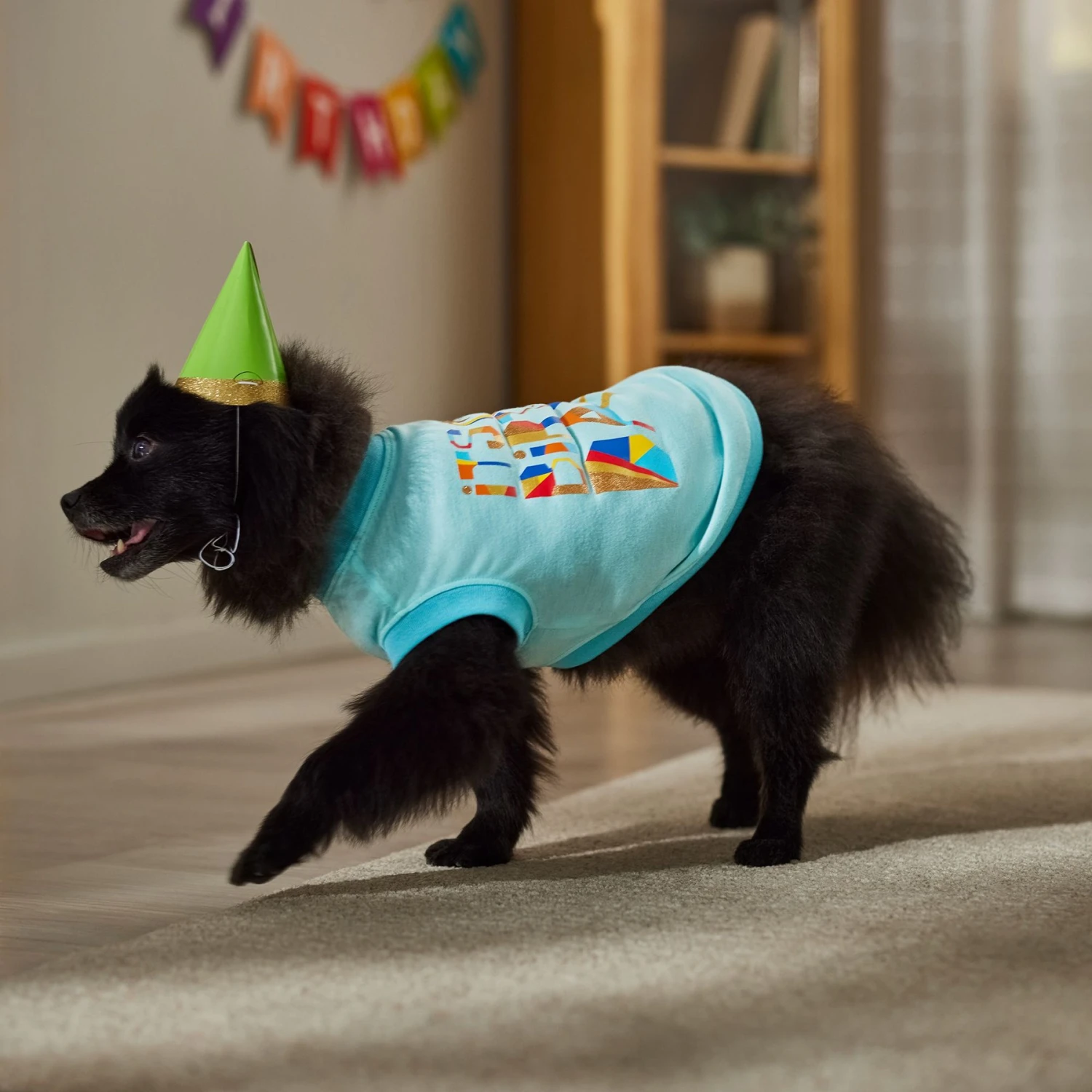 Frisco Birthday Celebration Dog & Cat T-Shirt 6 Frisco Birthday Celebration Dog & Cat T-Shirt - Image 6