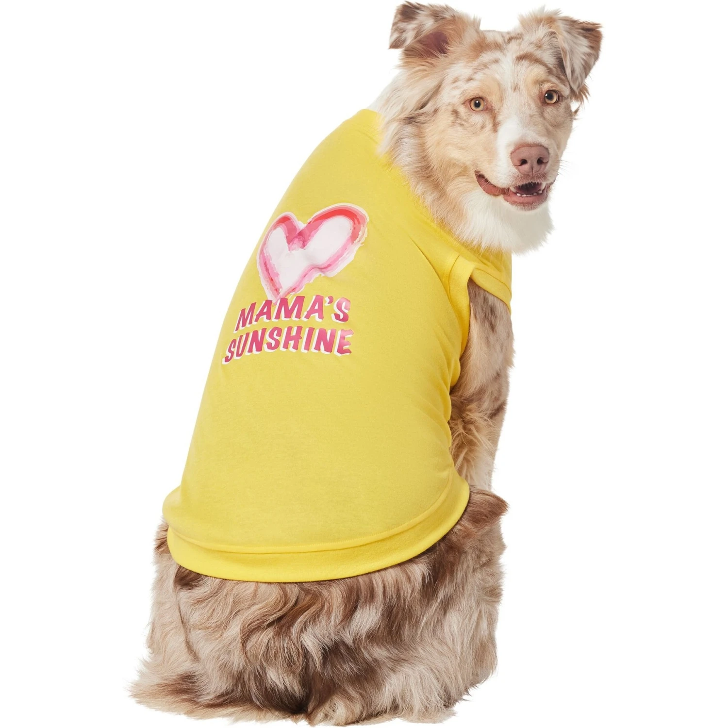 Frisco Mama's Sunshine Dog & Cat T-Shirt 3 Frisco Mama's Sunshine Dog & Cat T-Shirt - Image 3