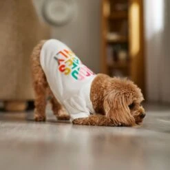 Frisco Good Vibes Only Dog & Cat T-Shirt 12 Frisco Good Vibes Only Dog & Cat T-Shirt -Frisco 608518 PT7. AC SS1800 V1676644453