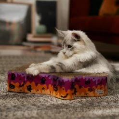 Frisco Halloween Ghost Swirl Scratcher Cat Toy With Catnip 6 Frisco Halloween Ghost Swirl Scratcher Cat Toy With Catnip -Frisco 668230 PT3. AC SS1800 V1689343997