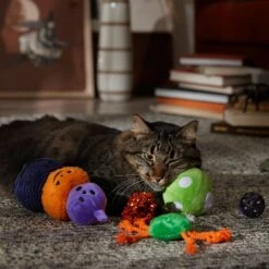 Frisco Halloween Mystical Variety Pack Plush & Balls Cat Toy With Catnip 6 Frisco Halloween Mystical Variety Pack Plush & Balls Cat Toy With Catnip -Frisco 668374 PT3. AC SS1800 V1689282492