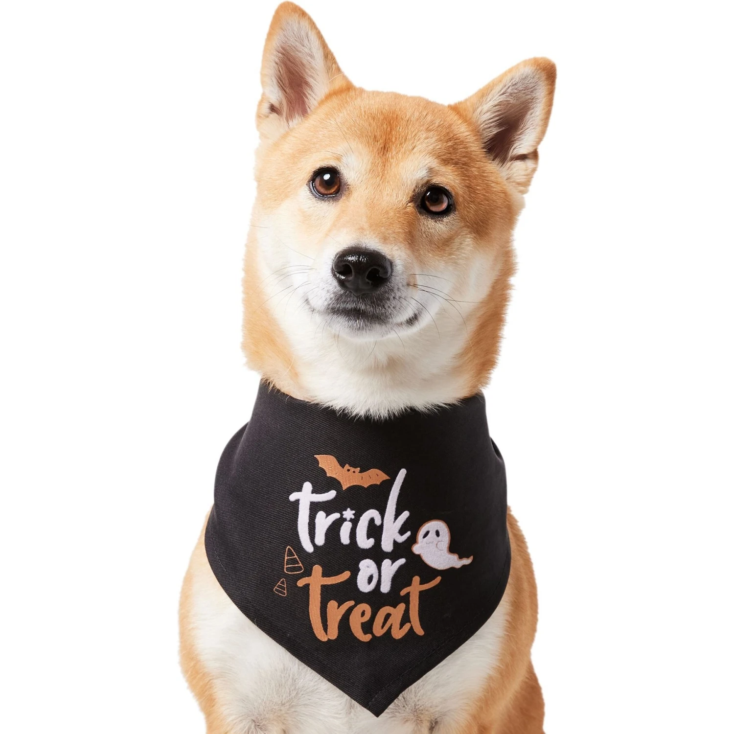 Frisco Trick Or Treat Dog & Cat Bandana 3 Frisco Trick Or Treat Dog & Cat Bandana - Image 3