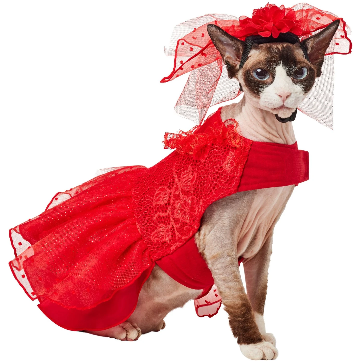 Frisco Red Ruffle Dog & Cat Dress + Headpiece 1 Frisco Red Ruffle Dog & Cat Dress + Headpiece