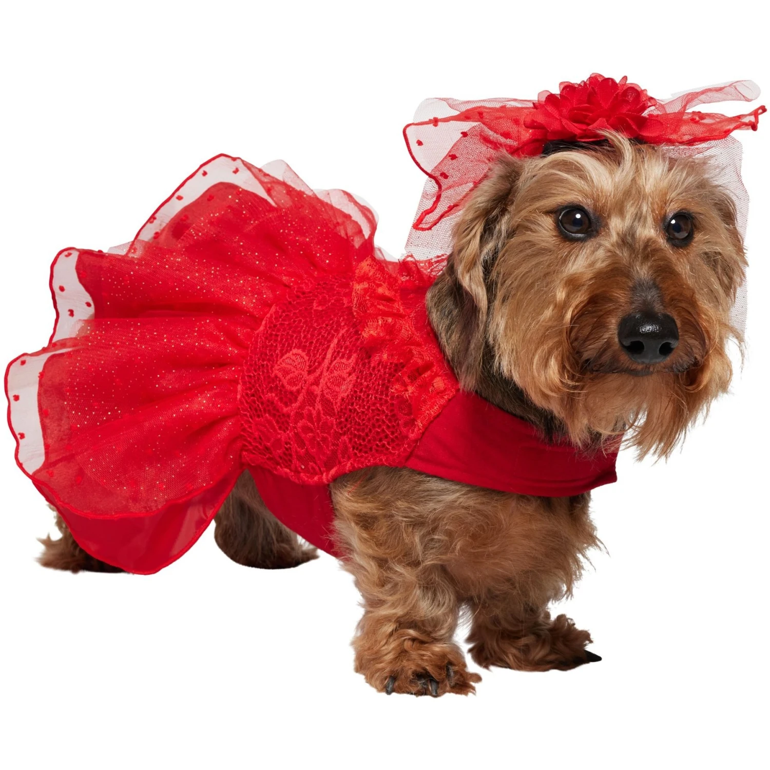 Frisco Red Ruffle Dog & Cat Dress + Headpiece 3 Frisco Red Ruffle Dog & Cat Dress + Headpiece - Image 3