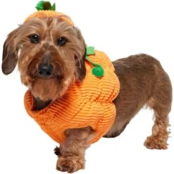 Frisco Pumpkin Ball Dog & Cat Costume 10 Frisco Pumpkin Ball Dog & Cat Costume -Frisco 708902 PT2. AC SS1800 V1689351041