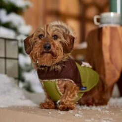 Frisco Heavy Weight 2-Tone Sherpa Lined Hybrid Quilted Dog & Cat Parka 16 Frisco Heavy Weight 2-Tone Sherpa Lined Hybrid Quilted Dog & Cat Parka -Frisco 718038 PT7. AC SS1800 V1692378337