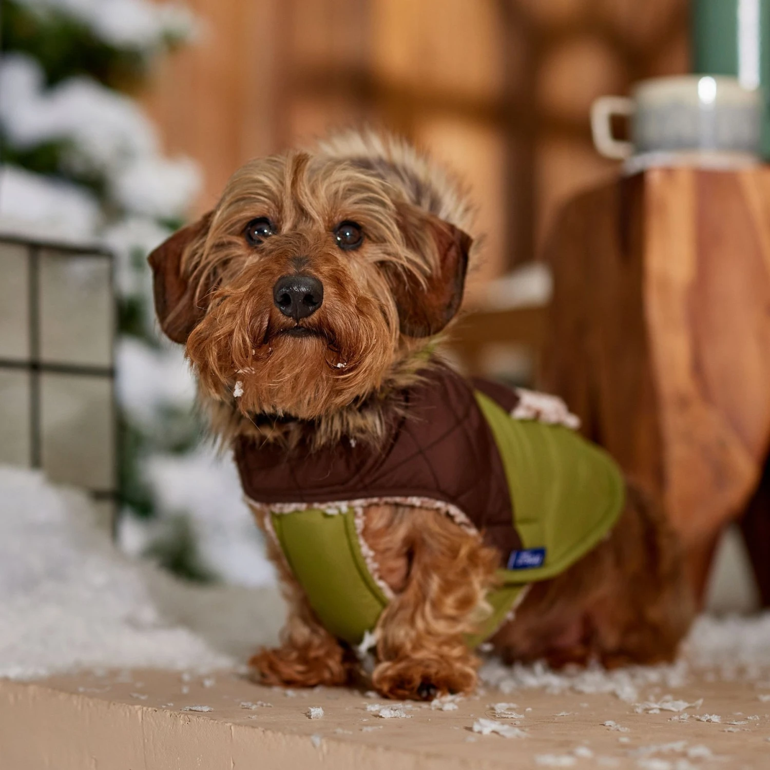 Frisco Heavy Weight 2-Tone Sherpa Lined Hybrid Quilted Dog & Cat Parka 8 Frisco Heavy Weight 2-Tone Sherpa Lined Hybrid Quilted Dog & Cat Parka - Image 8