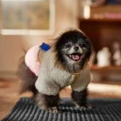 Frisco Colorblock Fleece Dog & Cat Hoodie W/ Pocket 16 Frisco Colorblock Fleece Dog & Cat Hoodie W/ Pocket -Frisco 718278 PT7. AC SS1800 V1692375977