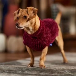 Frisco Cozy Textured Chenille Dog & Cat Sweater 14 Frisco Cozy Textured Chenille Dog & Cat Sweater -Frisco 718614 PT7. AC SS1800 V1692378337