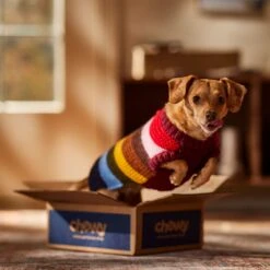 Frisco Chunky Knit Multi-Stripe Dog & Cat Sweater -Frisco 718662 PT7. AC SS1800 V1692378219