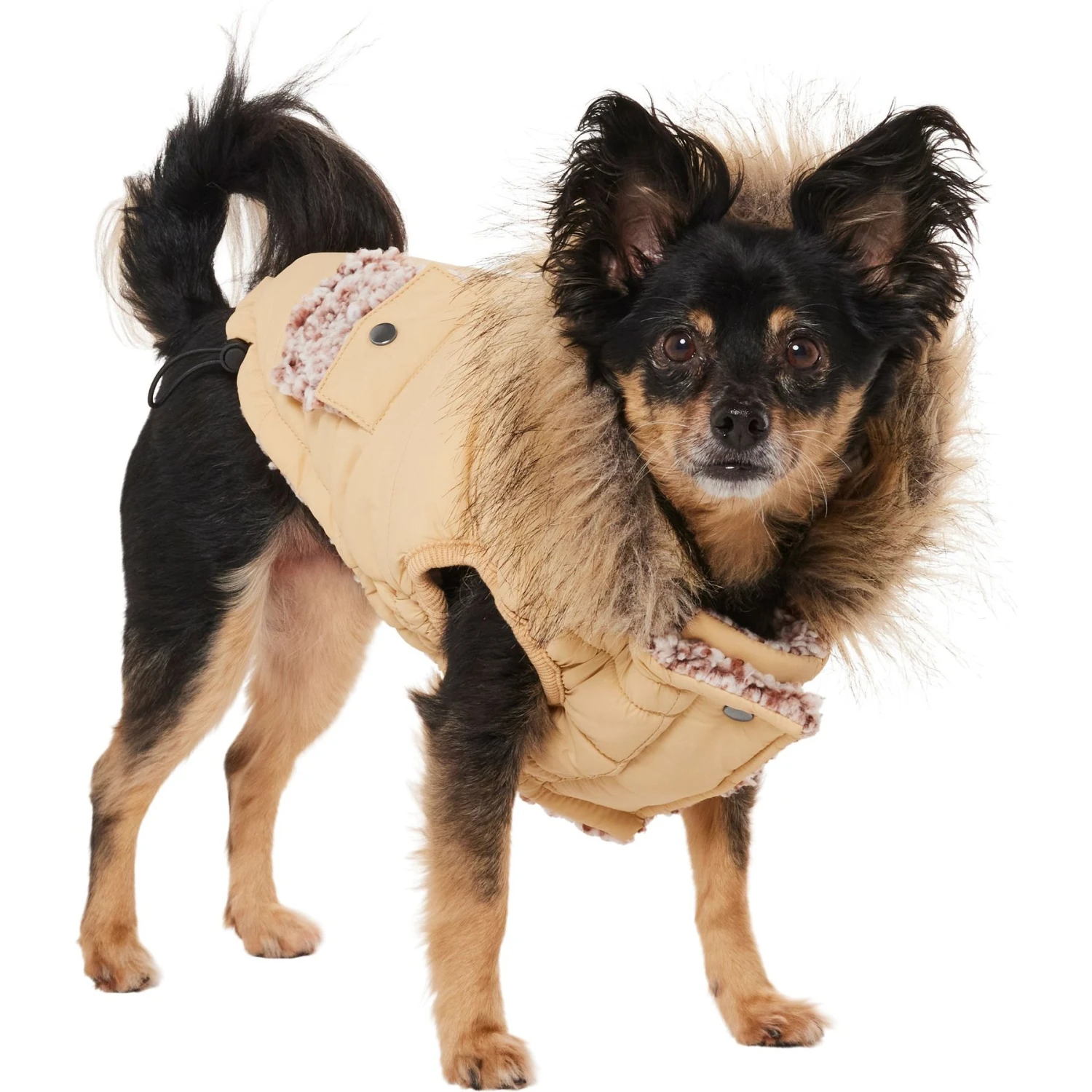 Frisco Heavy Weight Matte Quilted Dog & Cat Parka With Cozy Fleece Lining 3 Frisco Heavy Weight Matte Quilted Dog & Cat Parka With Cozy Fleece Lining - Image 3
