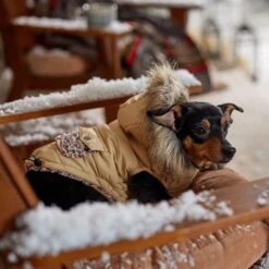 Frisco Heavy Weight Matte Quilted Dog & Cat Parka With Cozy Fleece Lining 16 Frisco Heavy Weight Matte Quilted Dog & Cat Parka With Cozy Fleece Lining -Frisco 719654 PT7. AC SS1800 V1692376037