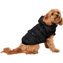 Frisco Heavy Weight Matte Quilted Volume Dog & Cat Puffer -Frisco 719750 PT2. AC SS1800 V1703184628