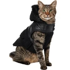 Frisco Medium Weight Faux Leather Dog & Cat Parka With Faux Fur Trimmed Hood, Black