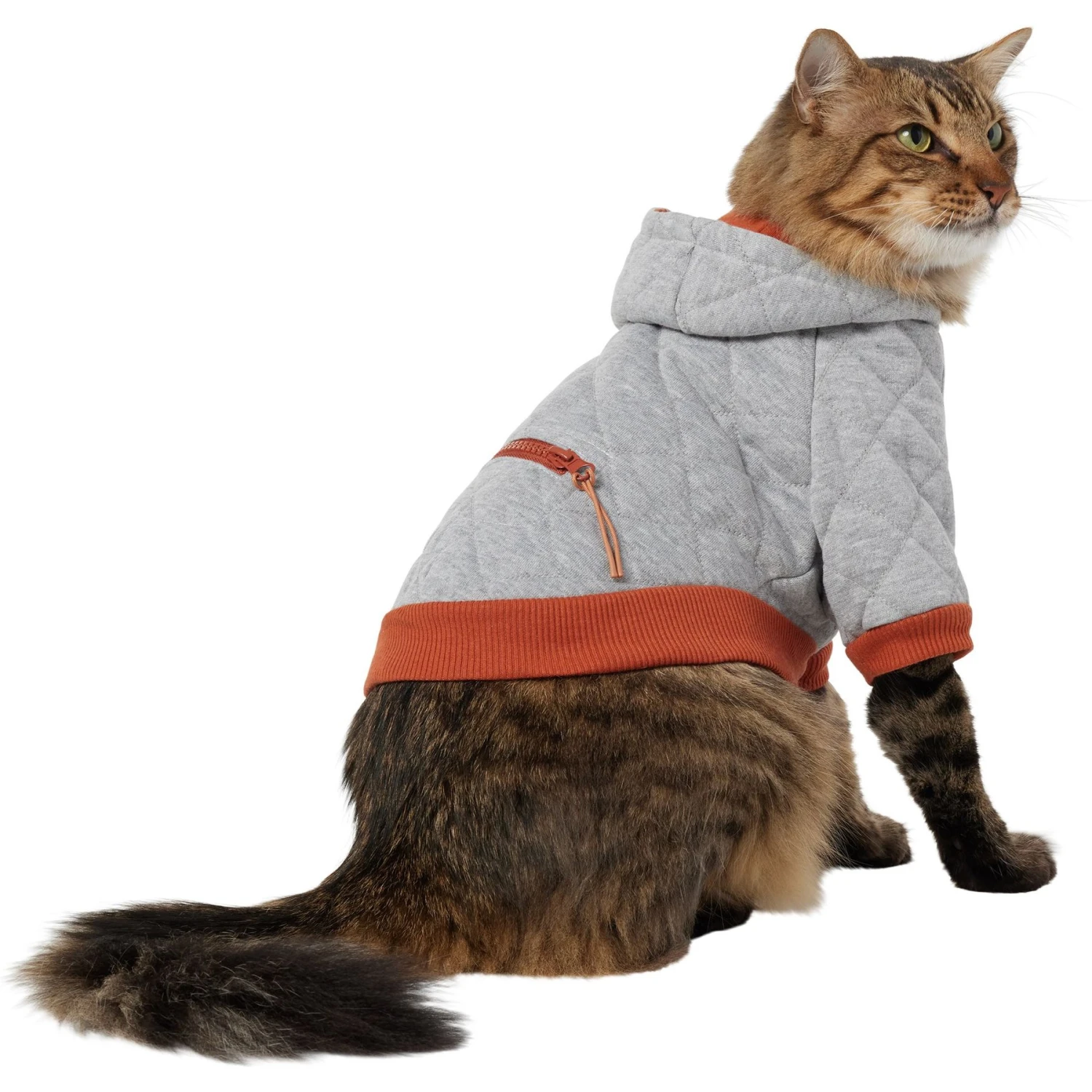 Frisco Quilted Dog & Cat Hoodie 1 Frisco Quilted Dog & Cat Hoodie