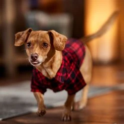 Frisco Red Tartan Plaid Dog & Cat Flannel Shirt 16 Frisco Red Tartan Plaid Dog & Cat Flannel Shirt -Frisco 720790 PT7. AC SS1800 V1693401090