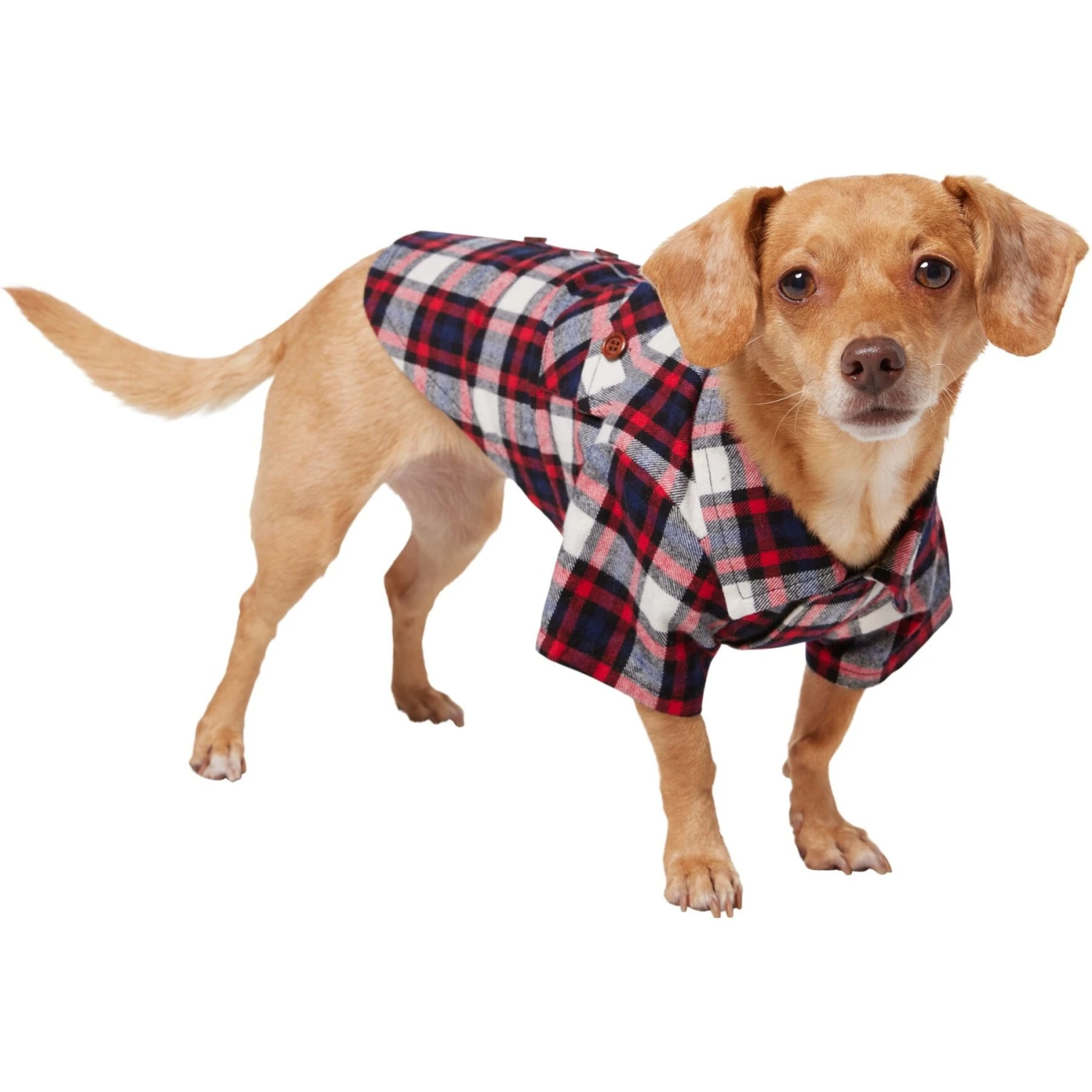 Frisco Red & Blue Plaid Dog & Cat Flannel Shirt 3 Frisco Red & Blue Plaid Dog & Cat Flannel Shirt - Image 3