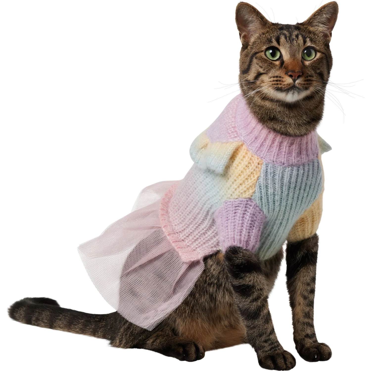 Frisco Rainbow Dog & Cat Sweater Dress 1 Frisco Rainbow Dog & Cat Sweater Dress