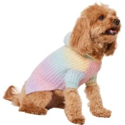 Frisco Soft Multi Stripe Ombre Dog & Cat Hooded Sweater 10 Frisco Soft Multi Stripe Ombre Dog & Cat Hooded Sweater -Frisco 742838 PT2. AC SS1800 V1703194379