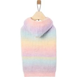 Frisco Soft Multi Stripe Ombre Dog & Cat Hooded Sweater 11 Frisco Soft Multi Stripe Ombre Dog & Cat Hooded Sweater -Frisco 742838 PT3. AC SS1800 V1693233982