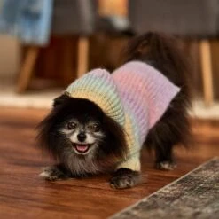Frisco Soft Multi Stripe Ombre Dog & Cat Hooded Sweater 14 Frisco Soft Multi Stripe Ombre Dog & Cat Hooded Sweater -Frisco 742838 PT7. AC SS1800 V1692376365